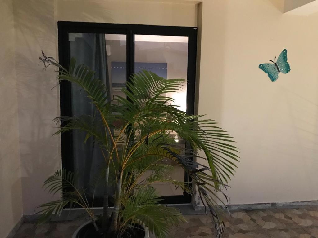 Nicole Residence Avec Piscine Chauffee & Jacuzzi Saint-Andre Bagian luar foto